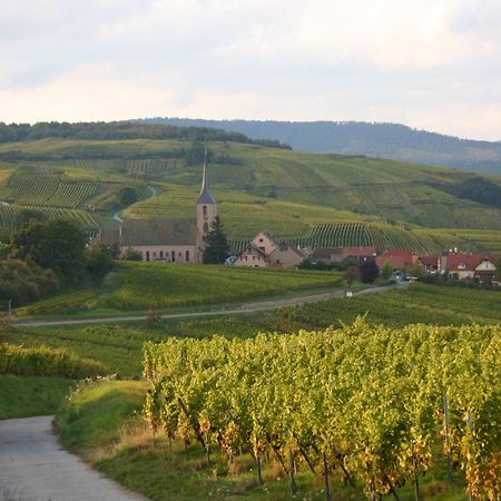 Hotel Winzenberg Blienschwiller المظهر الخارجي الصورة